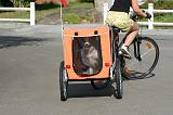 VELO - BIKE TRAILER 007